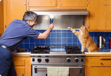 Inspecting oven hood while orange cat helps